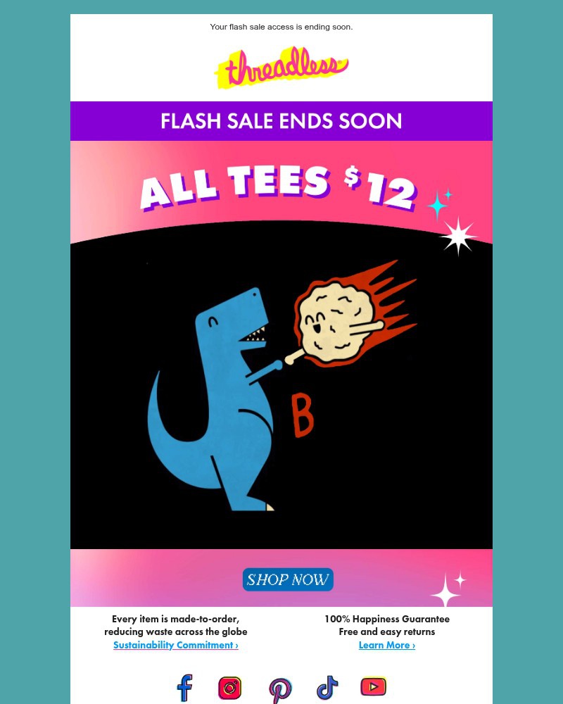Screenshot of email with subject /media/emails/hasta-la-vista-12-tees-f8eba7-cropped-7a575097.jpg