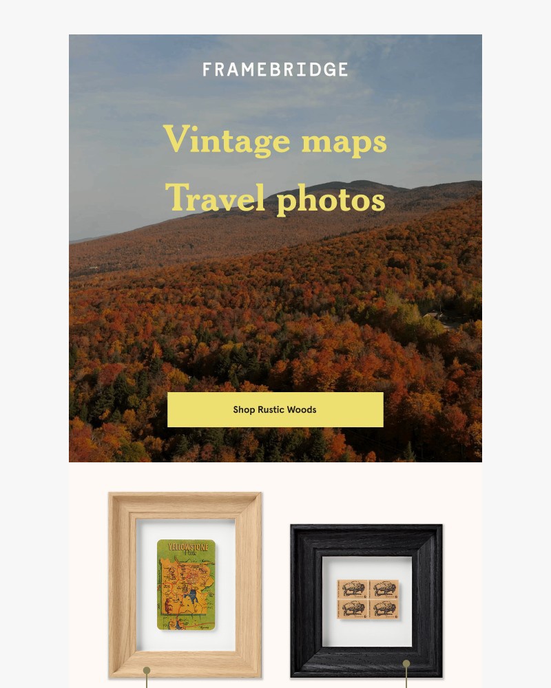 Screenshot of email with subject /media/emails/have-you-checked-out-our-new-frames-7e99fa-cropped-a1b6439f.jpg