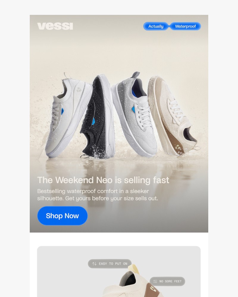 Screenshot of email sent to a Vessi Seller