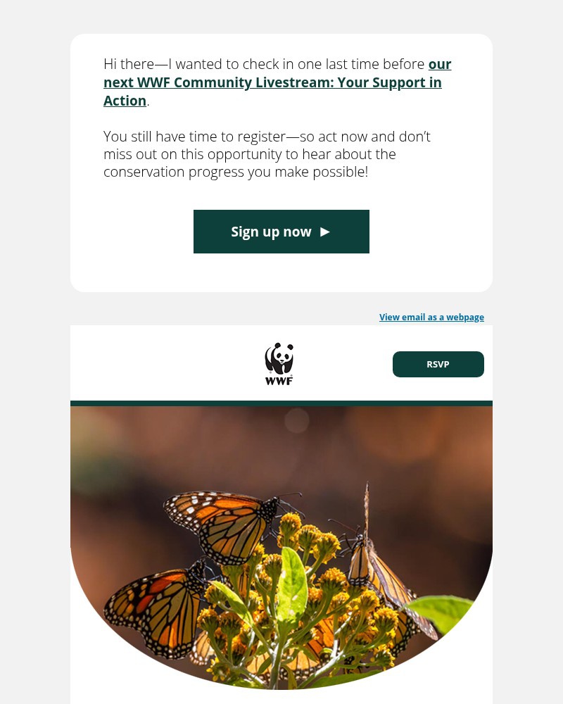 Screenshot of email sent to a World Wildlife Fund Newsletter subscriber