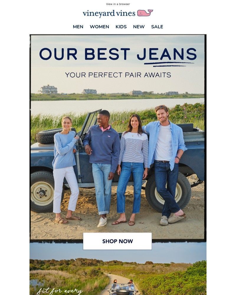 Screenshot of email with subject /media/emails/have-you-seen-our-jeans-4f75c6-cropped-823a1b6c.jpg