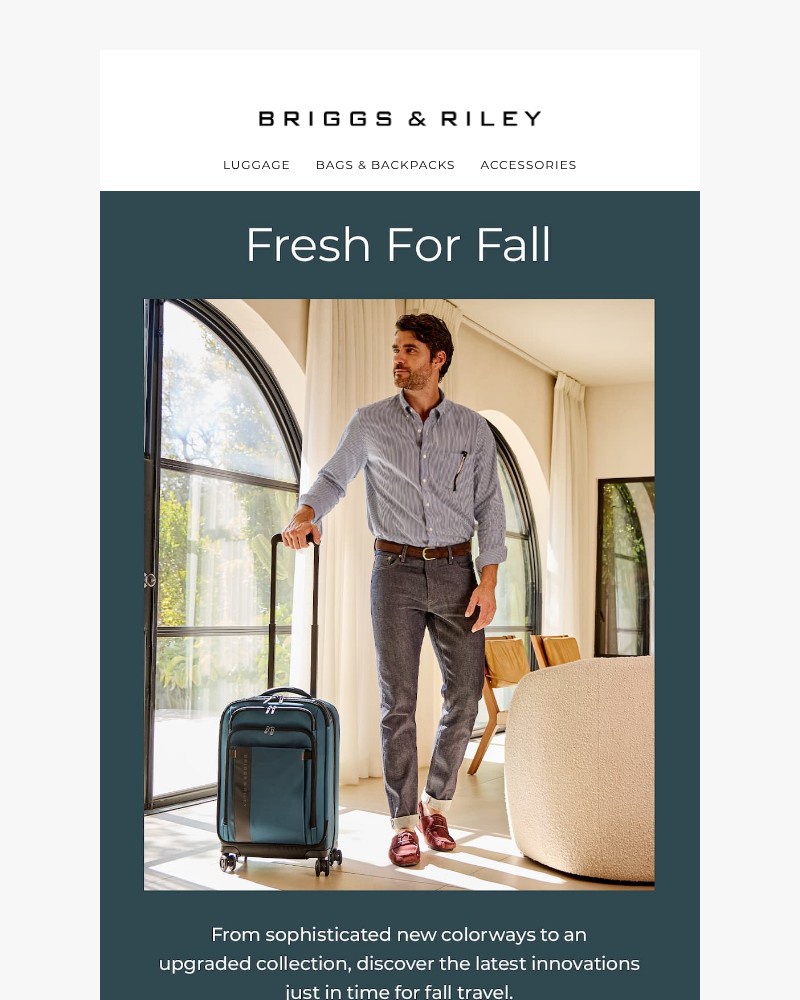 Screenshot of email with subject /media/emails/have-you-seen-these-new-arrivals-897878-cropped-e7f55891.jpg