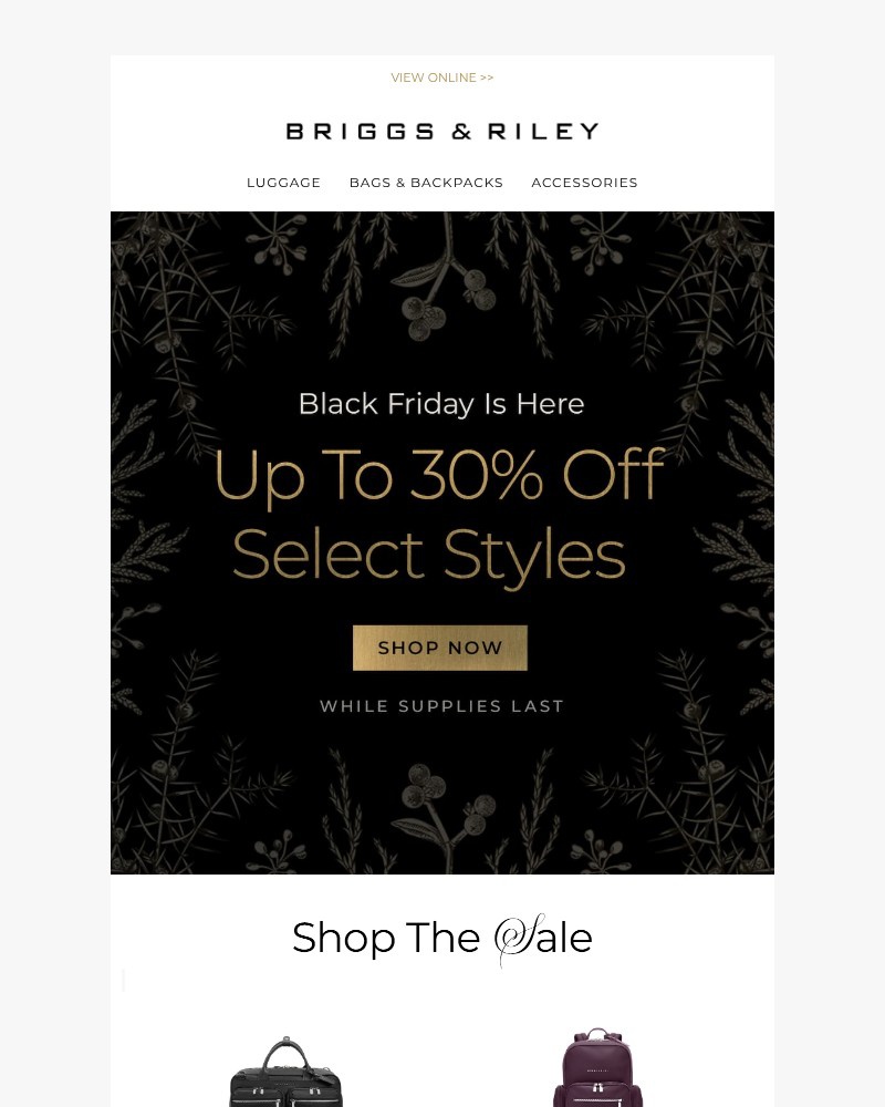 Screenshot of email with subject /media/emails/have-you-shopped-up-to-30-off-57f7c6-cropped-dc3a9cec.jpg