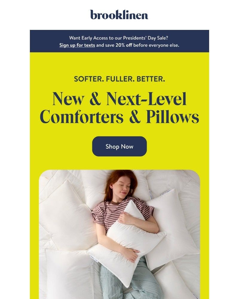Screenshot of email with subject /media/emails/have-you-tried-our-new-comforters-pillows-5090f2-cropped-43b4e638.jpg