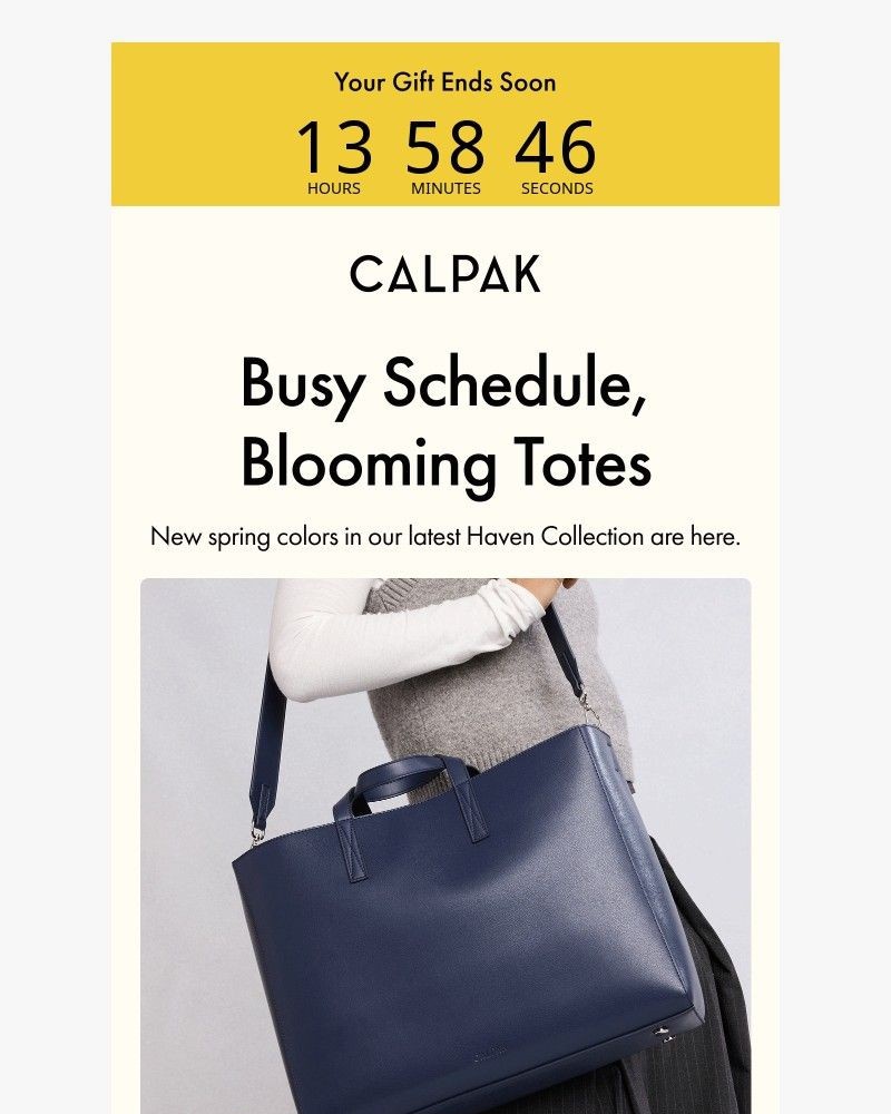 Screenshot of email with subject /media/emails/haven-the-new-spring-edit-a371d2-cropped-151fddc3.jpg