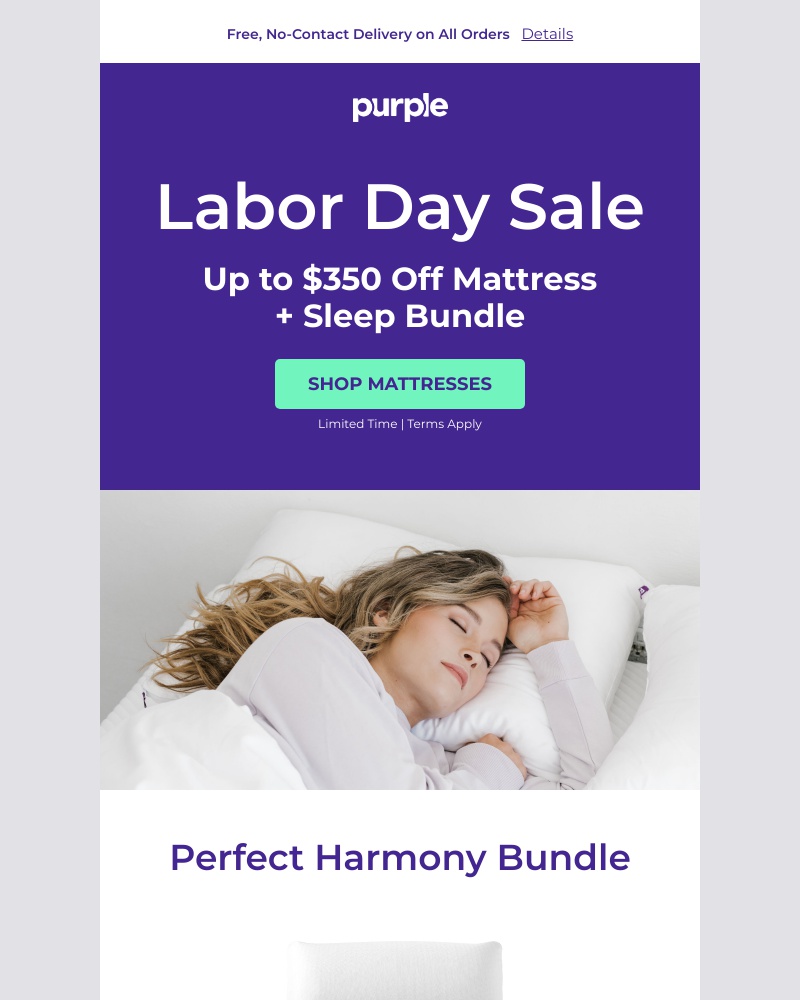 Screenshot of email with subject /media/emails/heads-up-purples-labor-day-sale-is-about-to-end-250c80-cropped-17355bf4.jpg