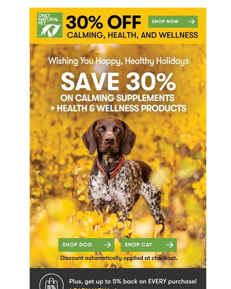 Screenshot of email with subject /media/emails/health-chill-holiday-vibes-now-30-off-adc1ab-cropped-9994dce1.jpg