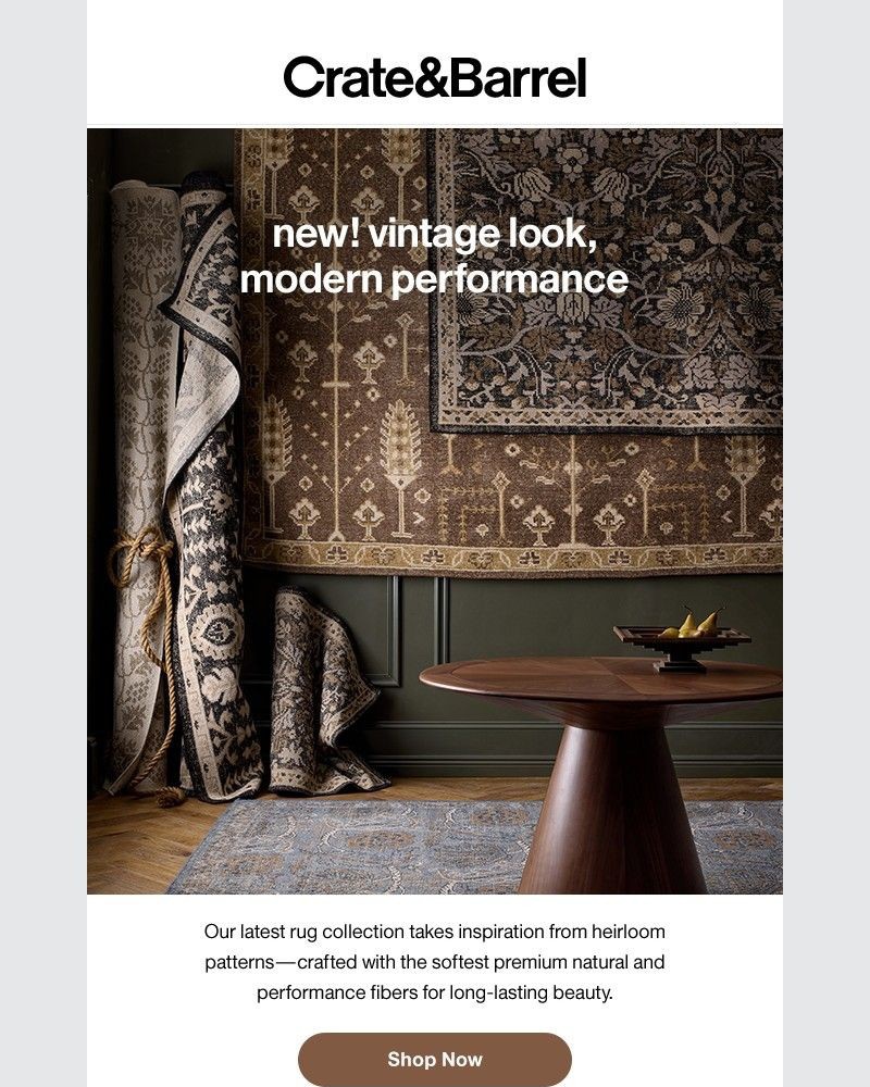 Screenshot of email with subject /media/emails/heirloom-inspired-rugs-that-stand-up-to-real-life-d751b4-cropped-a300bb4d.jpg