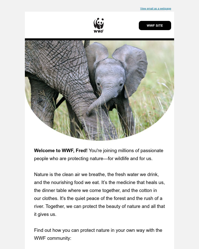 Screenshot of email sent to a World Wildlife Fund Newsletter subscriber
