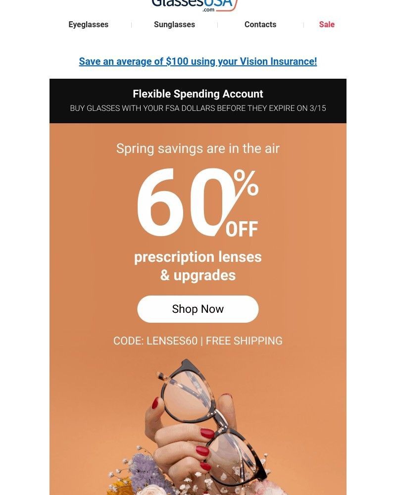 Screenshot of email with subject /media/emails/hello-early-spring-savings-act-fast-your-fsa-dollars-expire-315-71c487-cropped-8437e05c.jpg