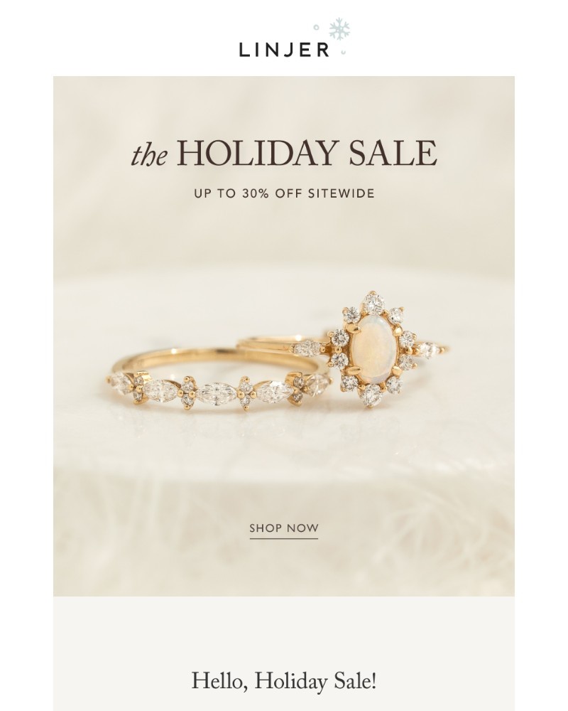 Screenshot of email with subject /media/emails/hello-holiday-sale-6c275b-cropped-7945511f.jpg