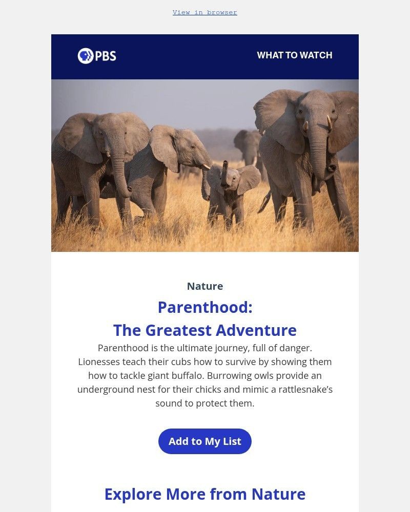 Screenshot of email sent to a PBS Newsletter subscriber