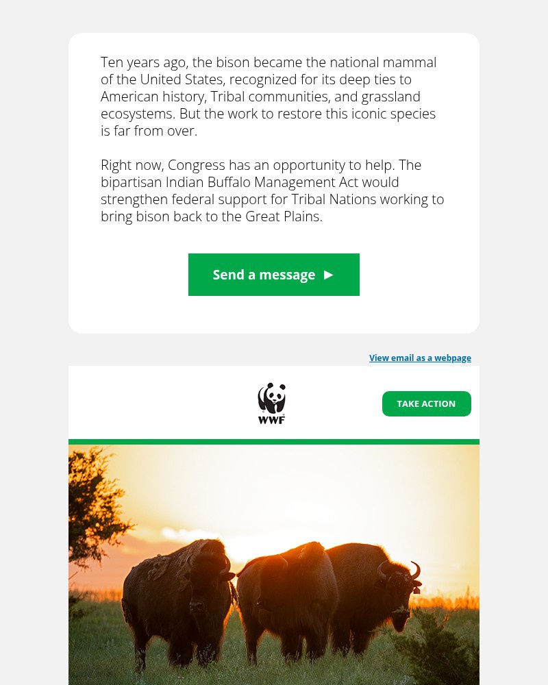 Screenshot of email with subject /media/emails/help-bring-our-national-mammal-back-to-the-great-plains-d25605-cropped-94172609.jpg