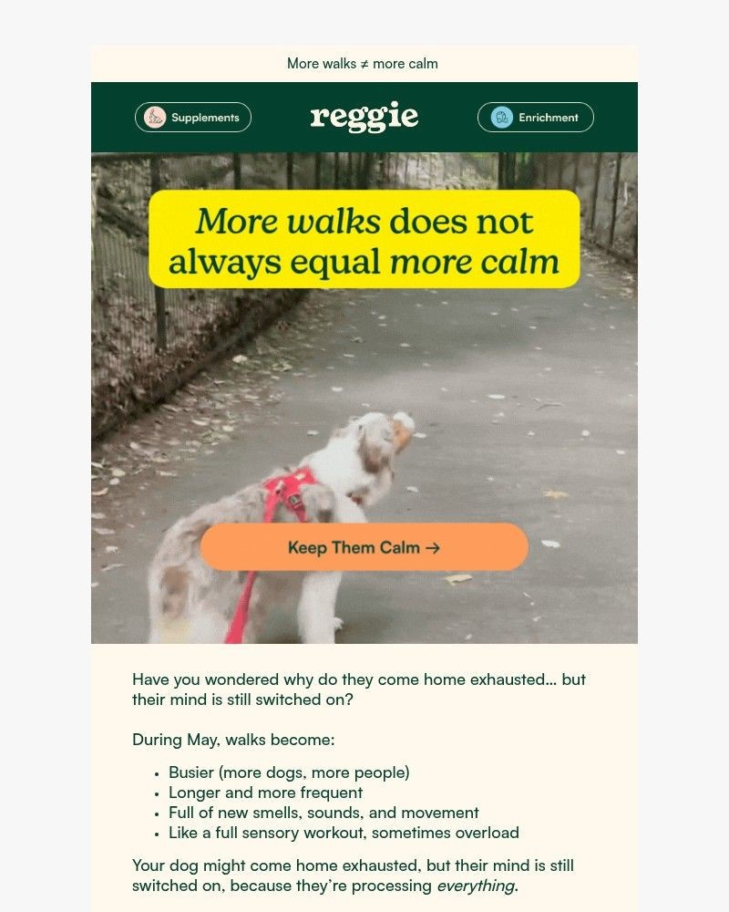 Screenshot of email sent to a reggie Newsletter subscriber