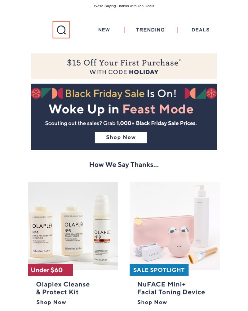 Screenshot of email with subject /media/emails/help-yourself-to-15-off-sale-prices-e1f784-cropped-0c510c74.jpg