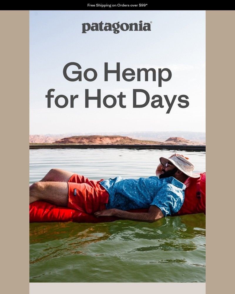 Screenshot of email sent to a Patagonia Newsletter subscriber