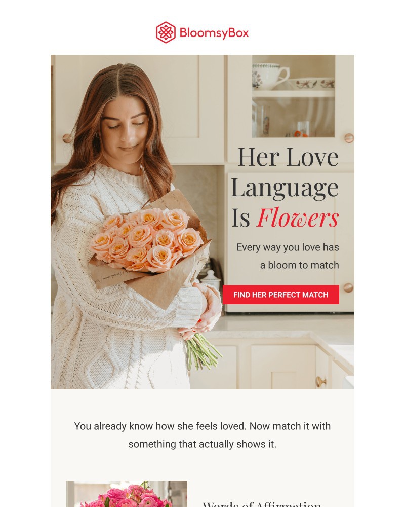 Screenshot of email sent to a Chococurb Newsletter subscriber