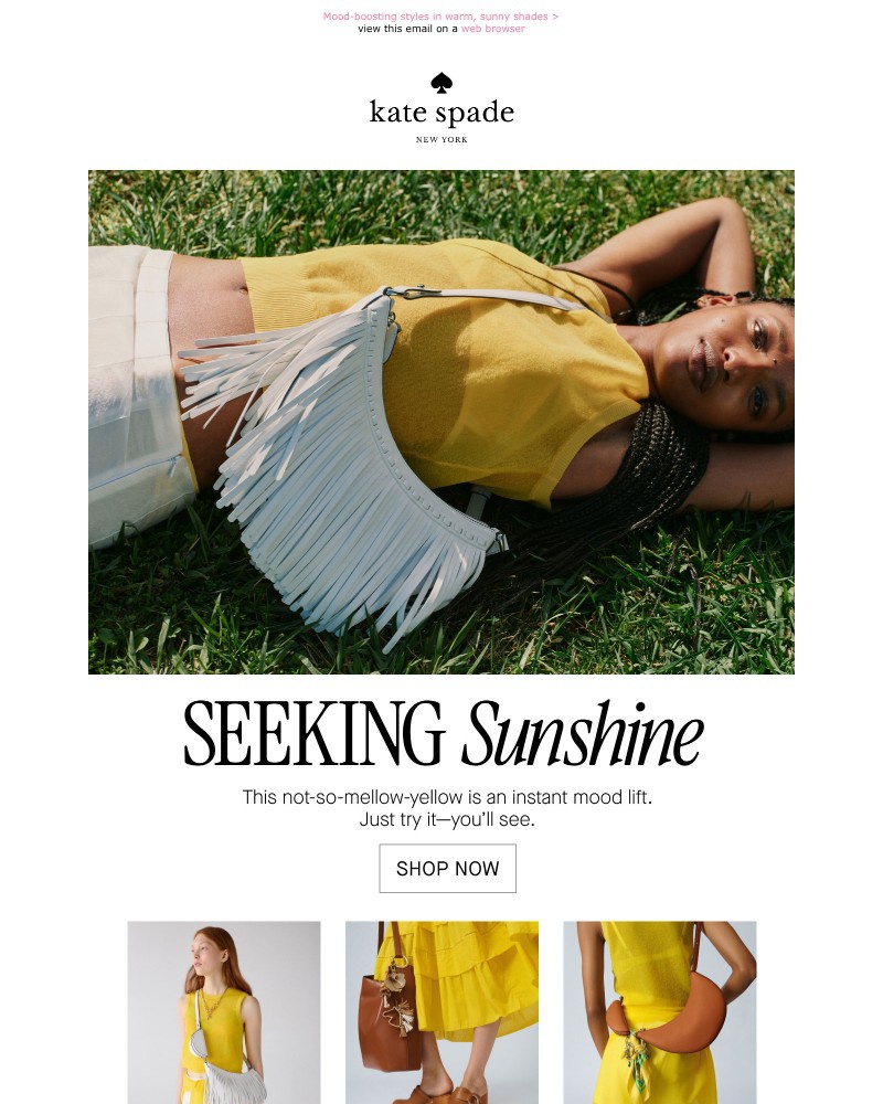 Screenshot of email with subject /media/emails/here-comes-the-sun-01ef67-cropped-70d4b617.jpg