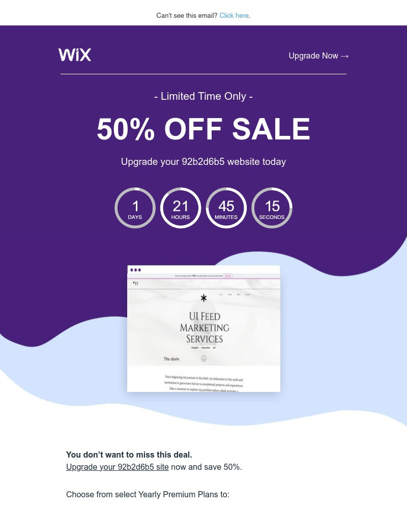 Screenshot of email sent to a Wix Registered user