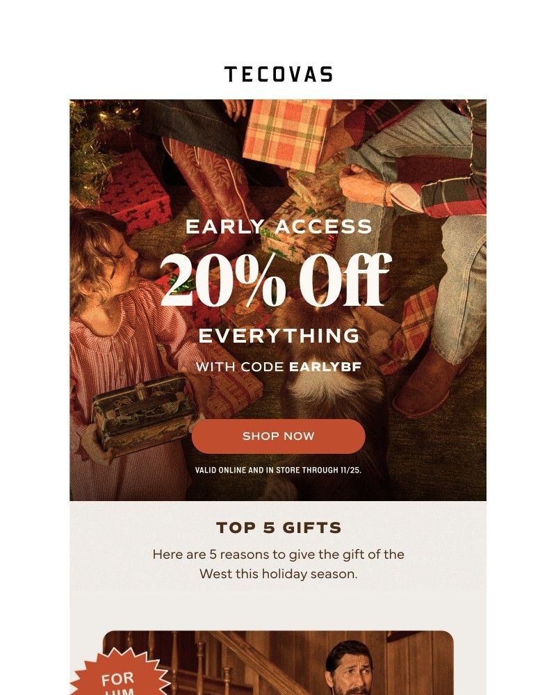 Screenshot of email with subject /media/emails/heres-early-access-869d0d-cropped-0b1eb167.jpg