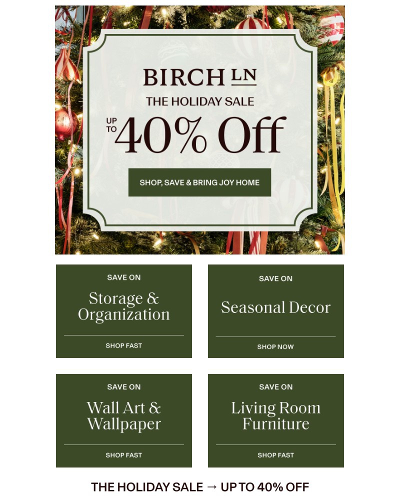 Screenshot of email sent to a Birch Lane Newsletter subscriber
