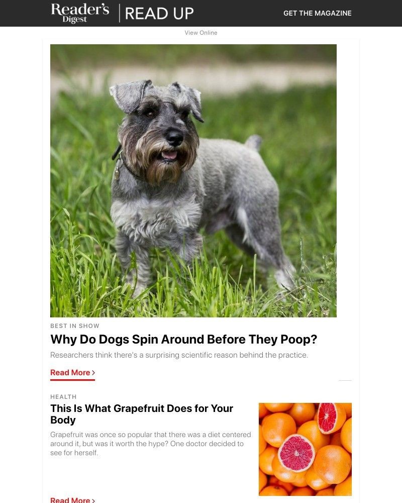Screenshot of email with subject /media/emails/heres-why-dogs-spin-around-before-they-poop-252e58-cropped-51223790.jpg