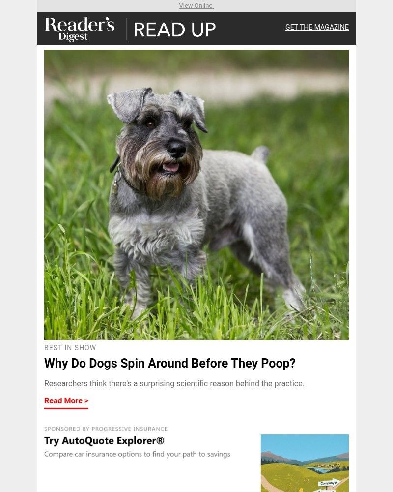 Screenshot of email with subject /media/emails/heres-why-dogs-spin-around-before-they-poop-752b29-cropped-cac060f4.jpg