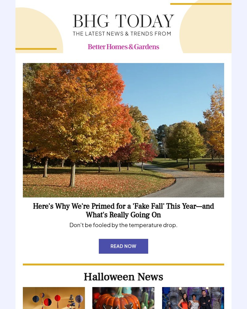 Screenshot of email with subject /media/emails/heres-why-were-primed-for-a-fake-fall-this-year-72e3ad-cropped-ffb6690a.jpg