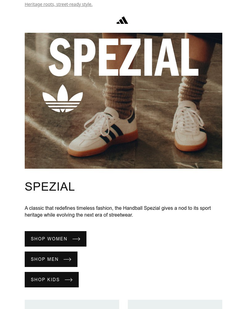Screenshot of email with subject /media/emails/heritage-roots-and-modern-style-come-together-in-spezial-89b101-cropped-df6e3b63.jpg