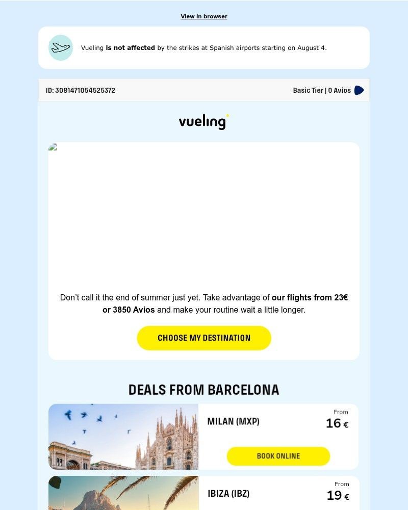 Screenshot of email sent to a Vueling Registered user