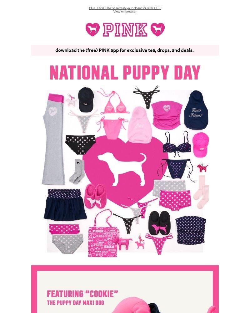 Screenshot of email with subject /media/emails/hey-its-national-puppy-dayyy-d87cc5-cropped-2ead0945.jpg