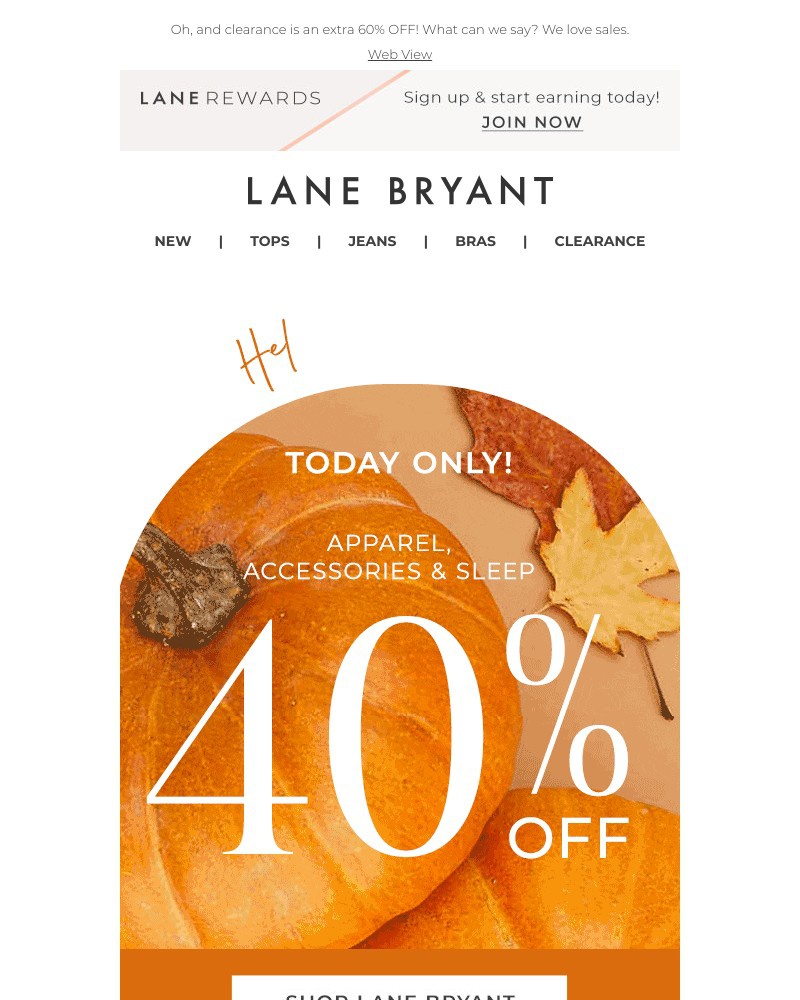 Screenshot of email with subject /media/emails/hey-there-pumpkin-take-40-off-today-only-d9fe6c-cropped-fd5fa760.jpg