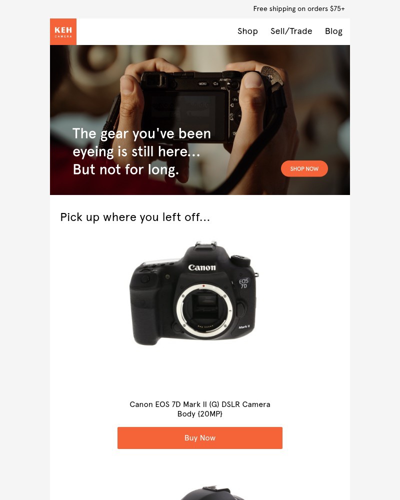 Screenshot of email with subject /media/emails/hey-you-left-without-your-gear-7667c7-cropped-636bf08a.jpg