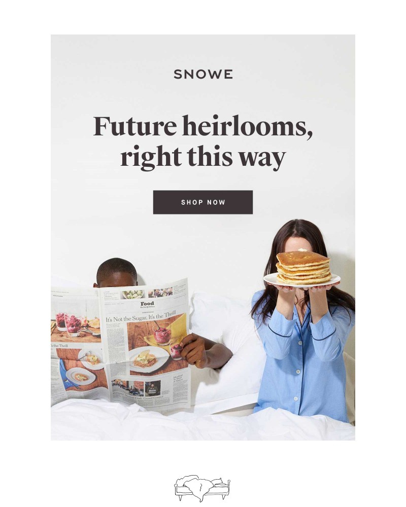 Screenshot of email sent to a Snowe Newsletter subscriber