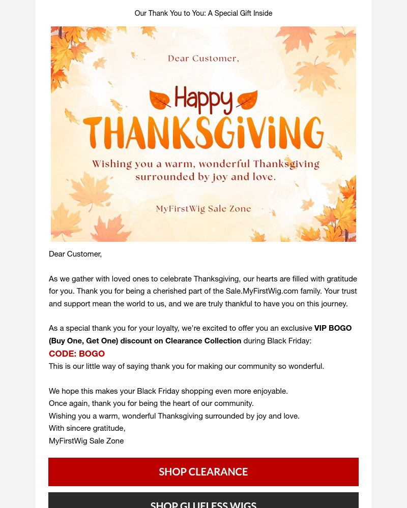 Screenshot of email with subject /media/emails/hi-thank-you-happy-thanksgiving-807f8a-cropped-a26c896a.jpg
