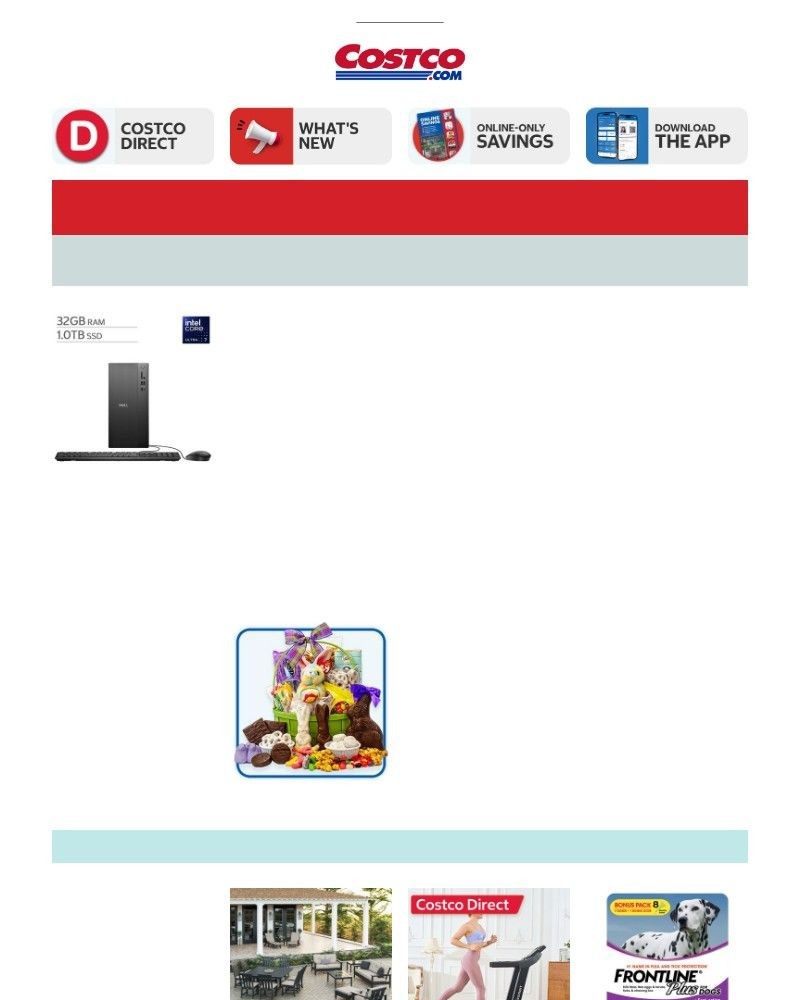 Screenshot of email sent to a Costco Newsletter subscriber