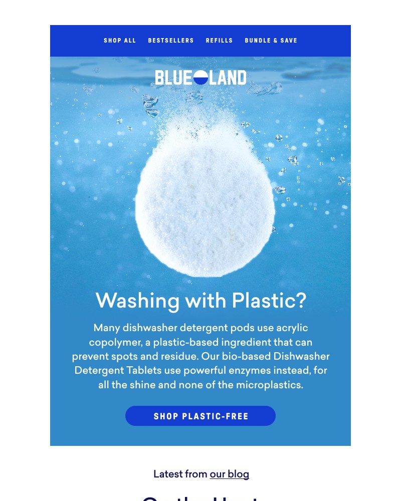 Screenshot of email sent to a Blueland Newsletter subscriber