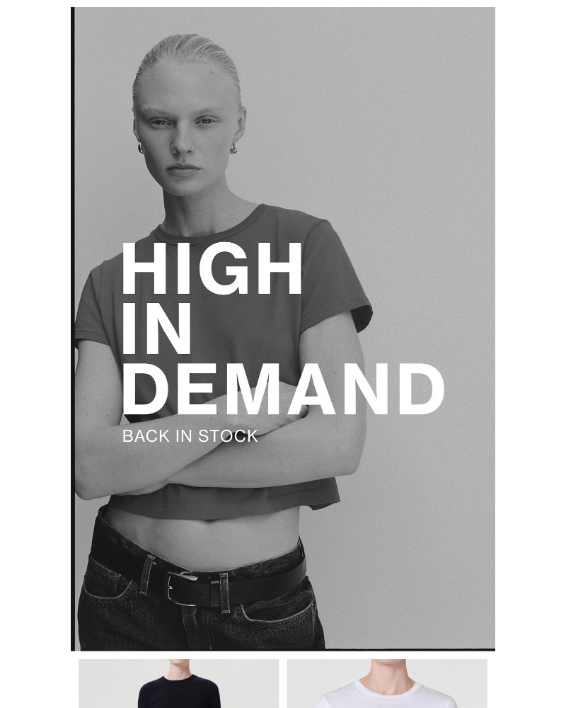 Screenshot of email with subject /media/emails/high-in-demand-back-in-stock-adceec-cropped-95ec7dd4.jpg