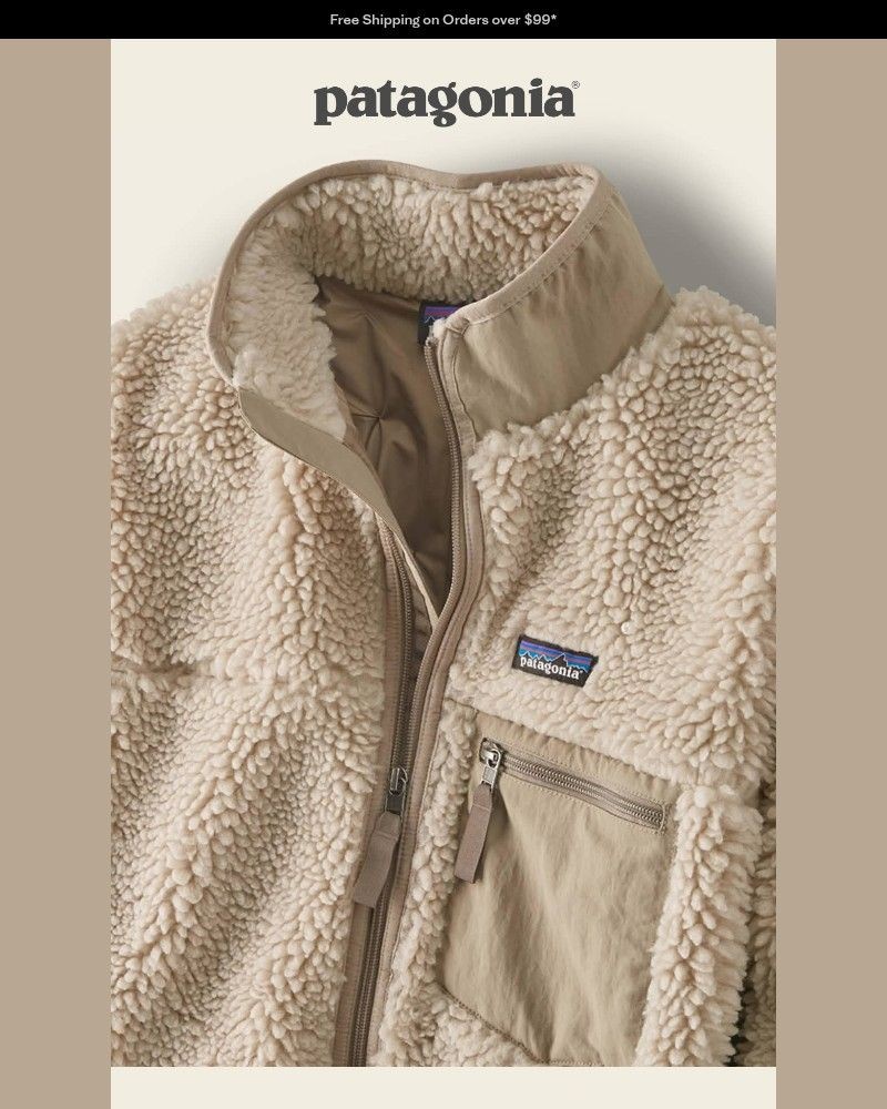 Screenshot of email sent to a Patagonia Newsletter subscriber