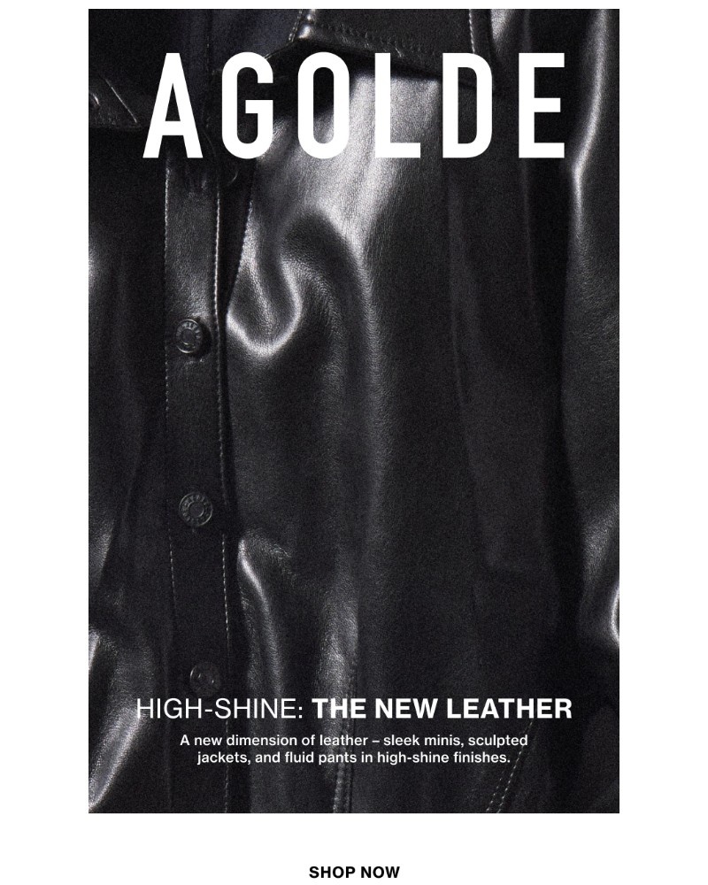 Screenshot of email with subject /media/emails/high-shine-the-new-leather-2561e6-cropped-146c7791.jpg