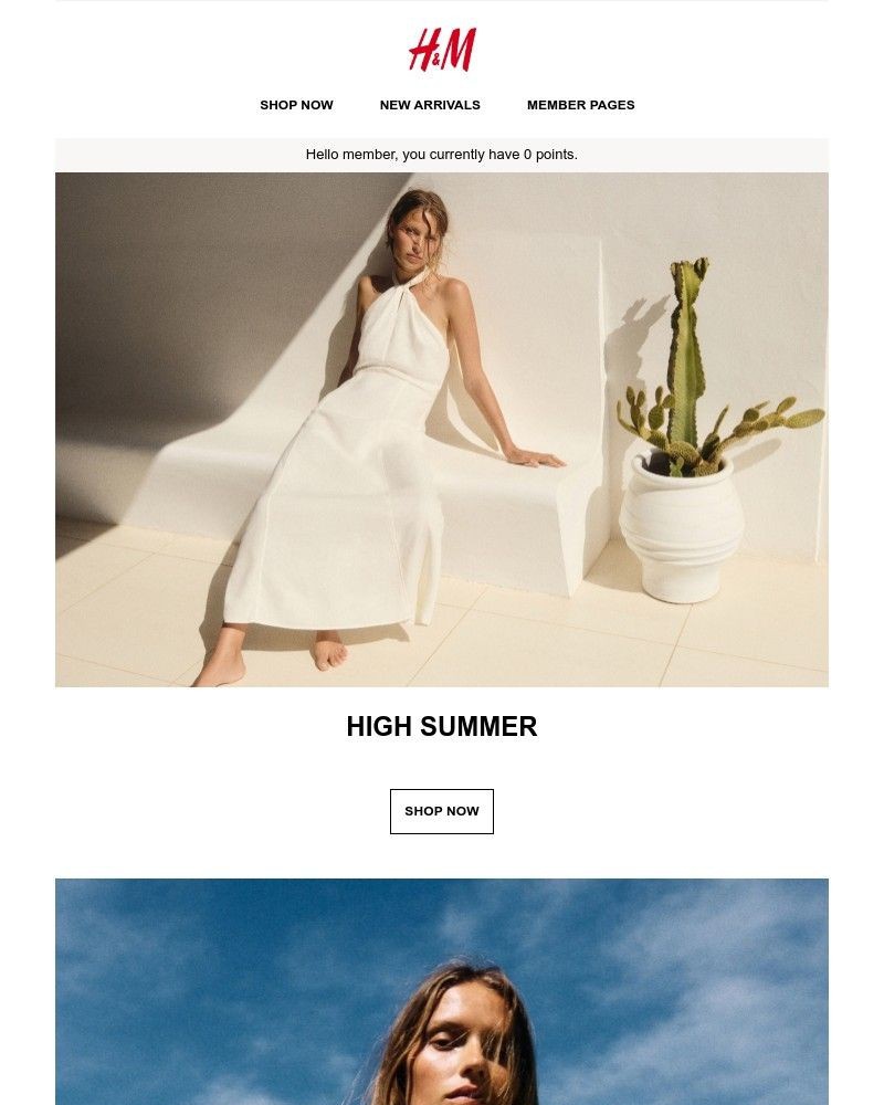 Screenshot of email with subject /media/emails/high-summer-2d2595-cropped-4ec89d7f.jpg