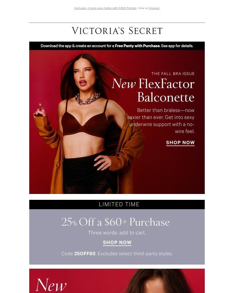 Screenshot of email with subject /media/emails/hint-falls-best-bras-25-off-60-9c77ab-cropped-219b175c.jpg