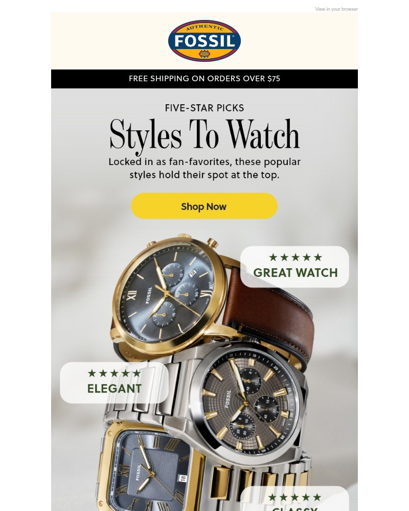 Screenshot of email sent to a Fossil Newsletter subscriber