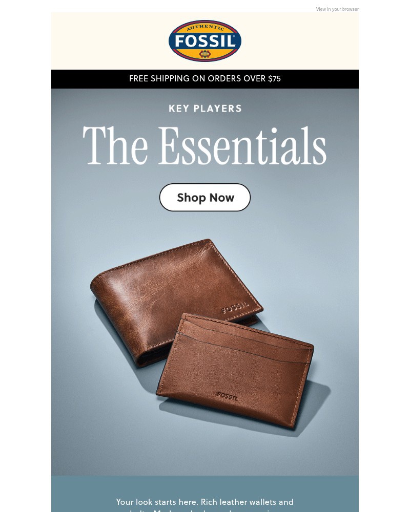 Screenshot of email with subject /media/emails/his-spring-style-essentials-b08247-cropped-dbf93960.jpg