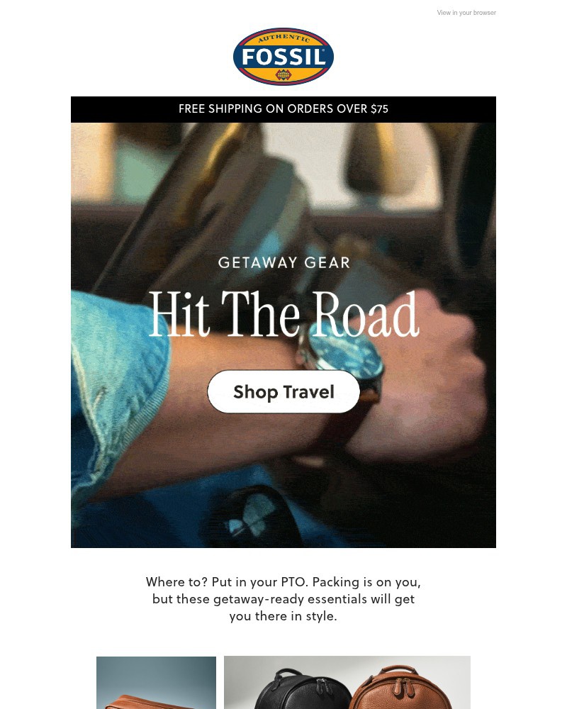 Screenshot of email sent to a Fossil Newsletter subscriber