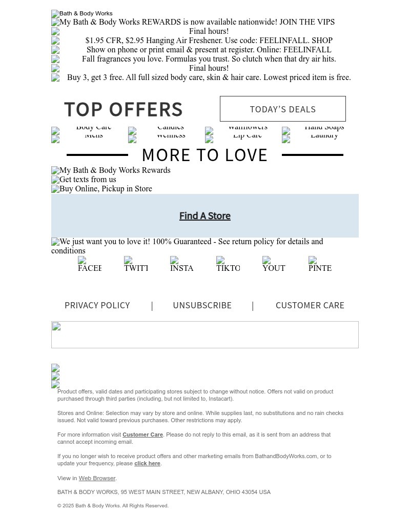 Screenshot of email with subject /media/emails/hit-the-brakes195-ends-in-hours-5bb233-cropped-8103c93a.jpg