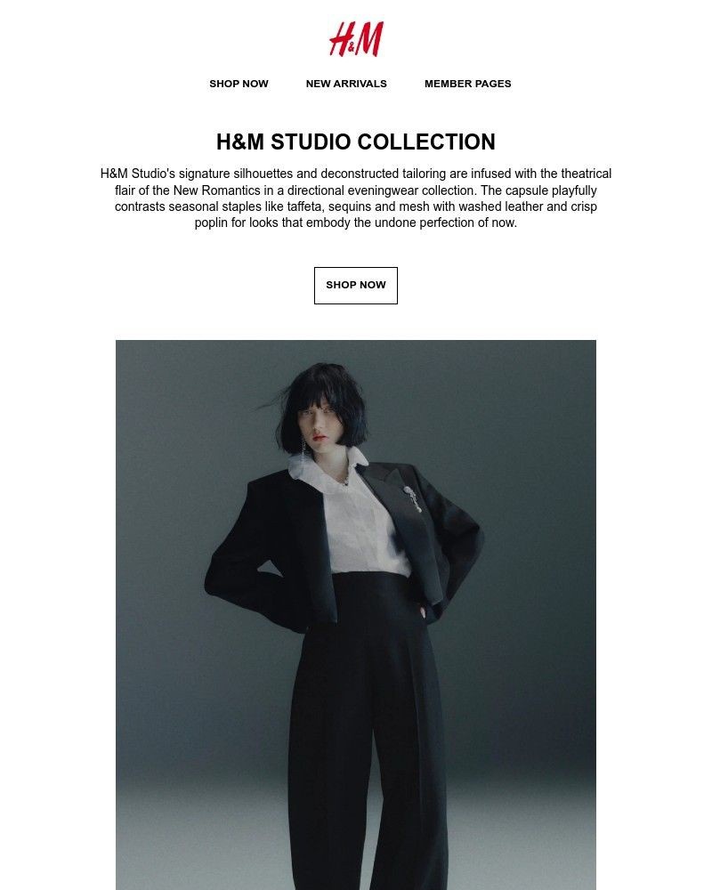 Screenshot of email with subject /media/emails/hm-studio-collection-is-here-1ec7d7-cropped-1e75e1e5.jpg