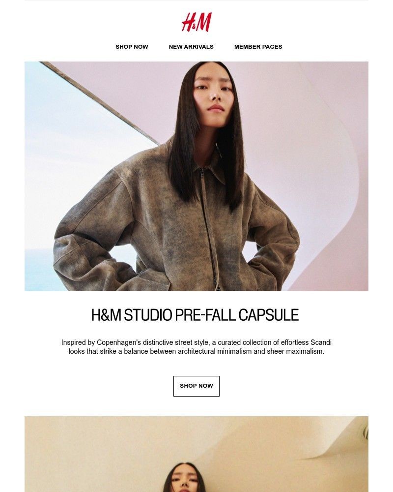 Screenshot of email with subject /media/emails/hm-studio-pre-fall-is-here-296a76-cropped-9ef9924d.jpg