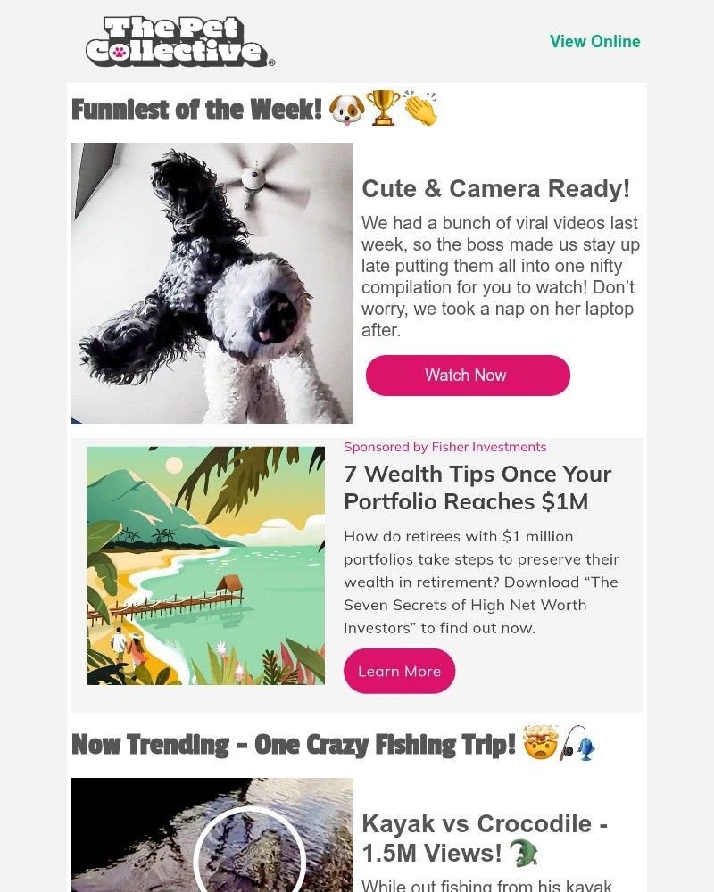 Screenshot of email with subject /media/emails/hold-onto-your-leashes-its-funniest-pets-of-the-week-b32722-cropped-7480e045.jpg