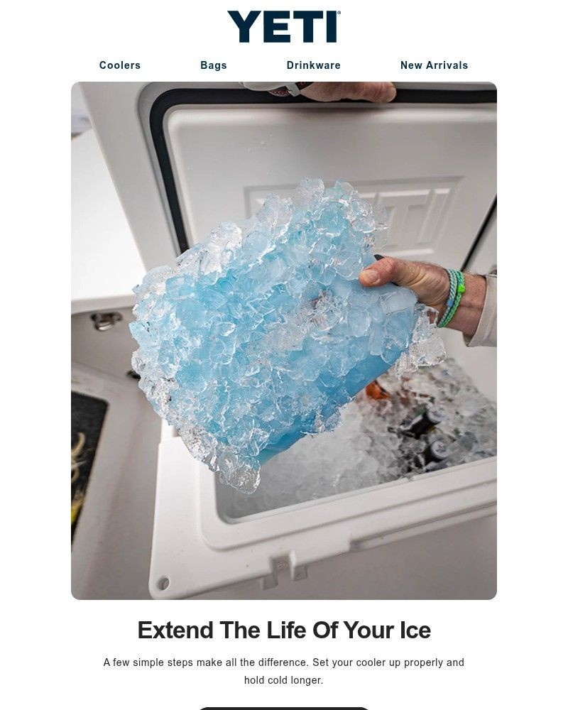Screenshot of email sent to a Yeti Newsletter subscriber